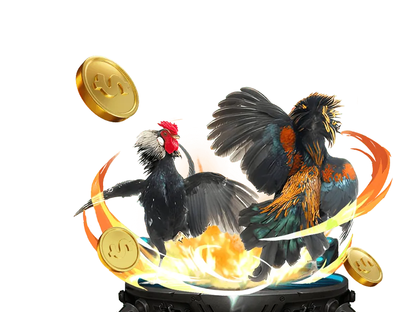 Mẹo và chiến lược cá cược đá gà